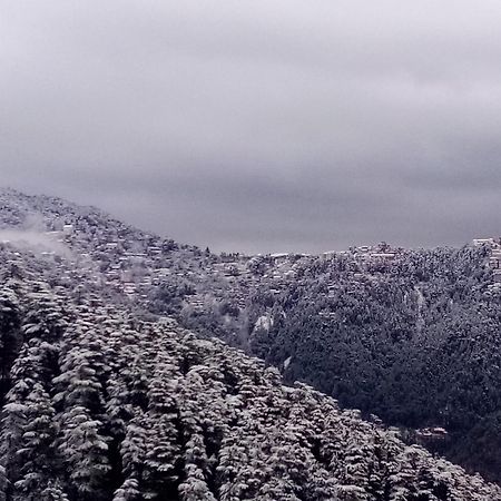 Shimla Regency Hotel Luaran gambar