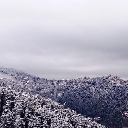 Shimla Regency Hotel Luaran gambar