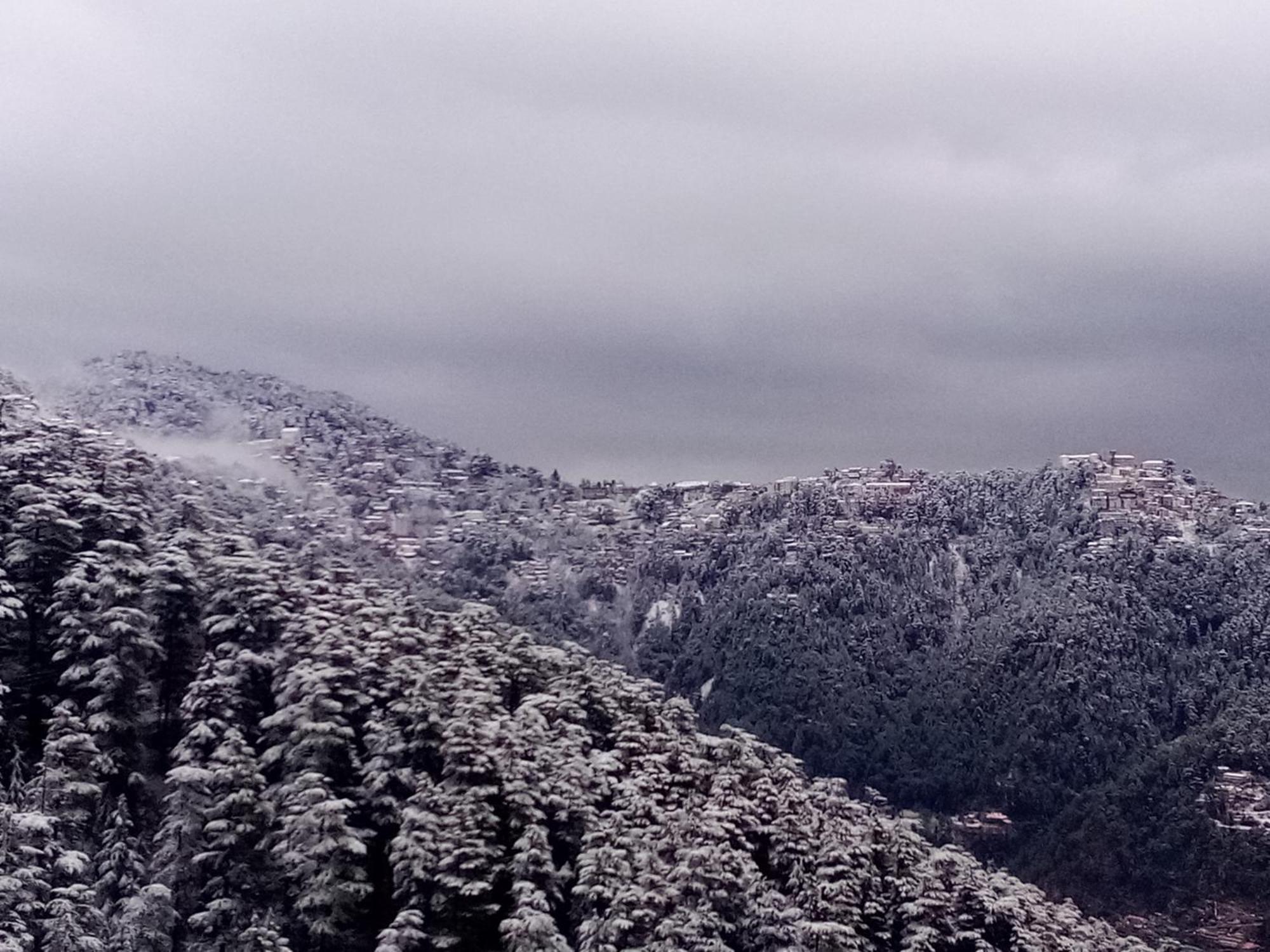 Shimla Regency Hotel Luaran gambar