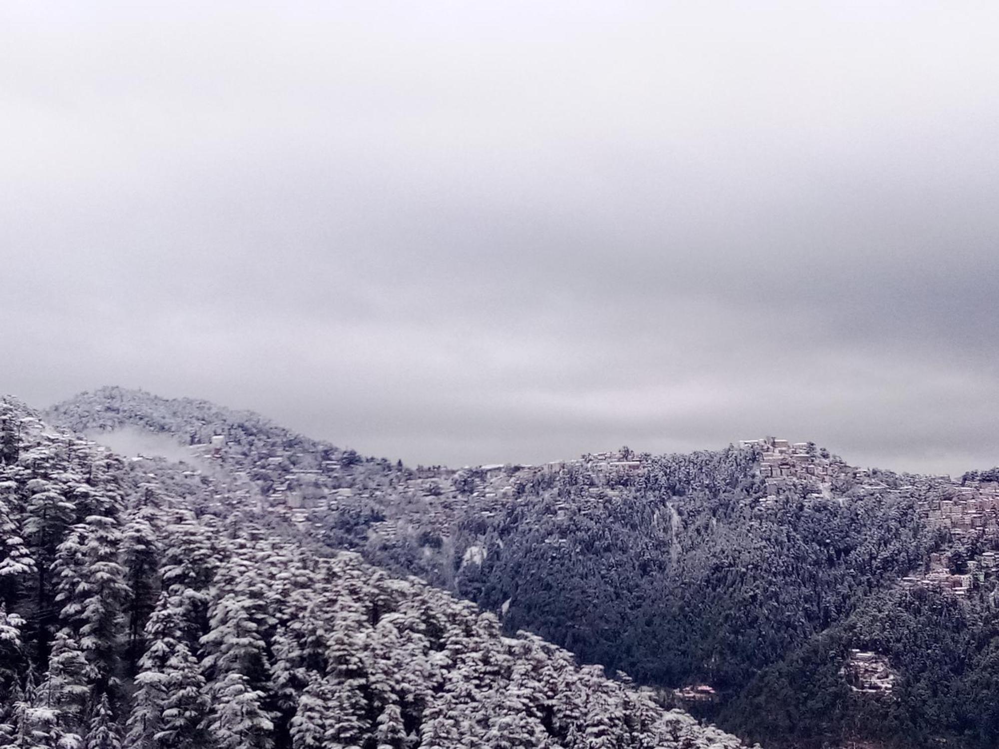Shimla Regency Hotel Luaran gambar